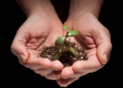 Screenshot 2025-11-29 145554 Screenshot 2025-11-29 145554